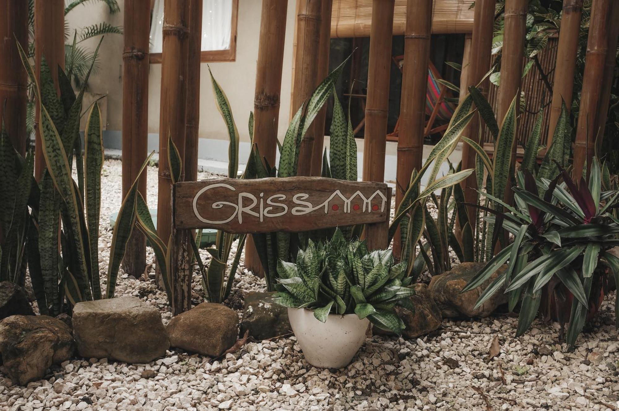 Griss Lodge & Spa Playa Santa Teresa  Exterior foto
