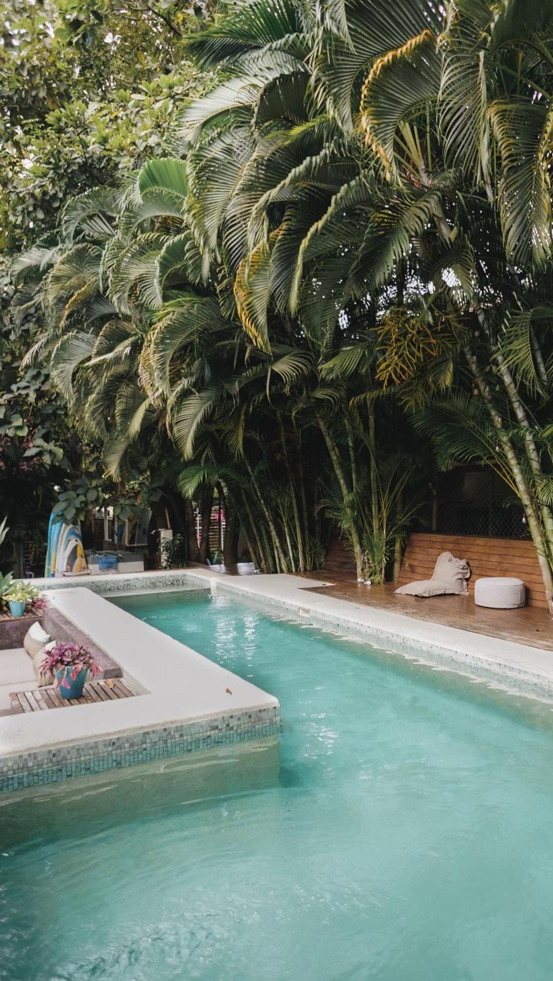 Griss Lodge & Spa Playa Santa Teresa  Exterior foto